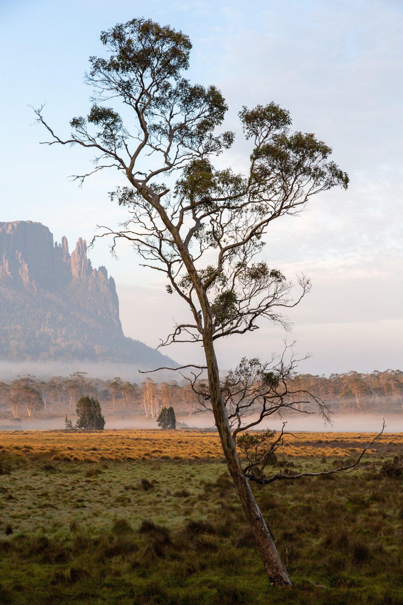 Cradle Mountain - Tasmanië - Australië