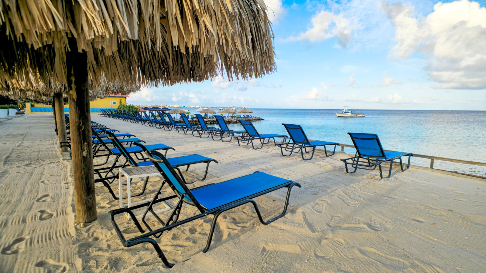 Divi Flamingo Beach Resort & Casino strand