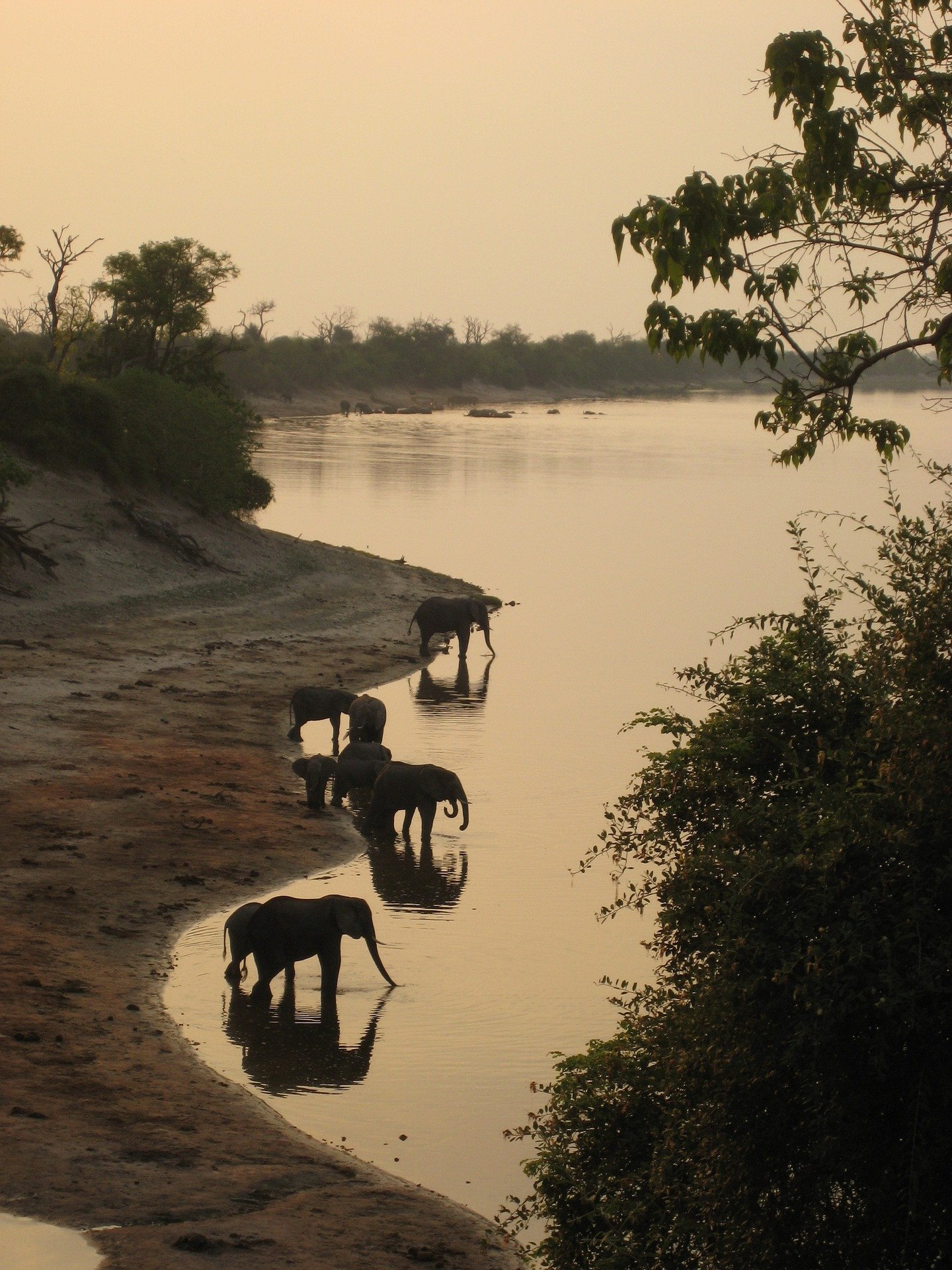 Botswana olifant rivier