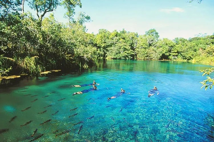 Brazilië Bonito Sucuri rivier snorkelen