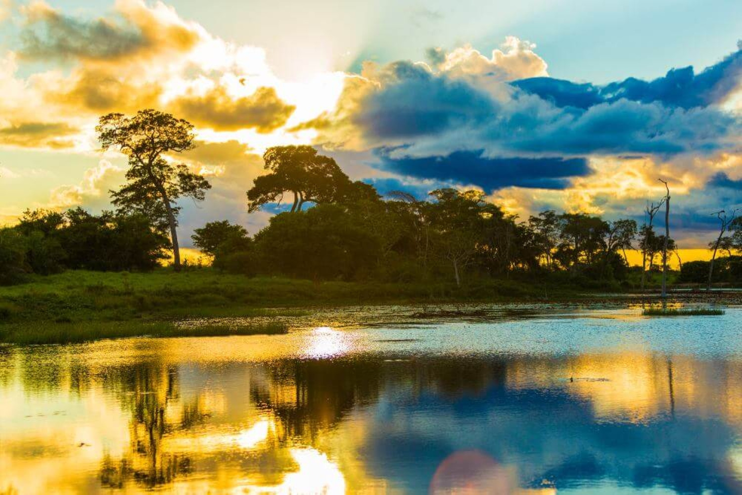 Brazilië Pantanal