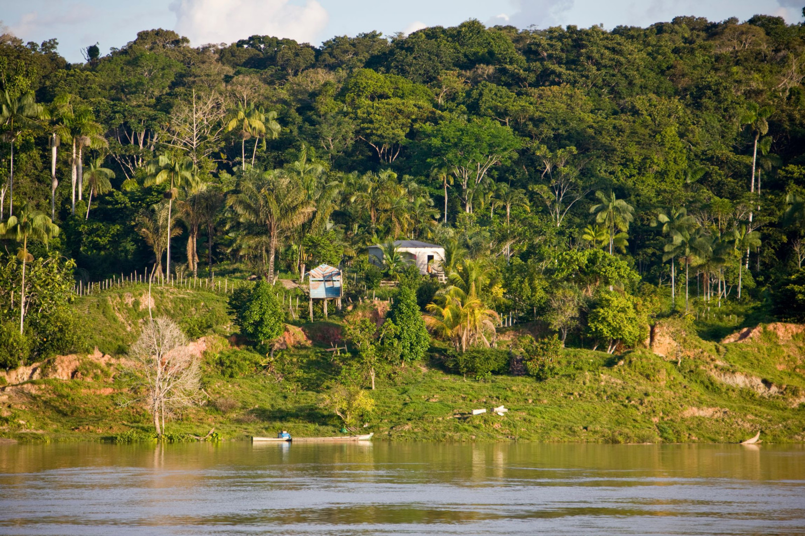 Brazilië Amazone Amazon rivier