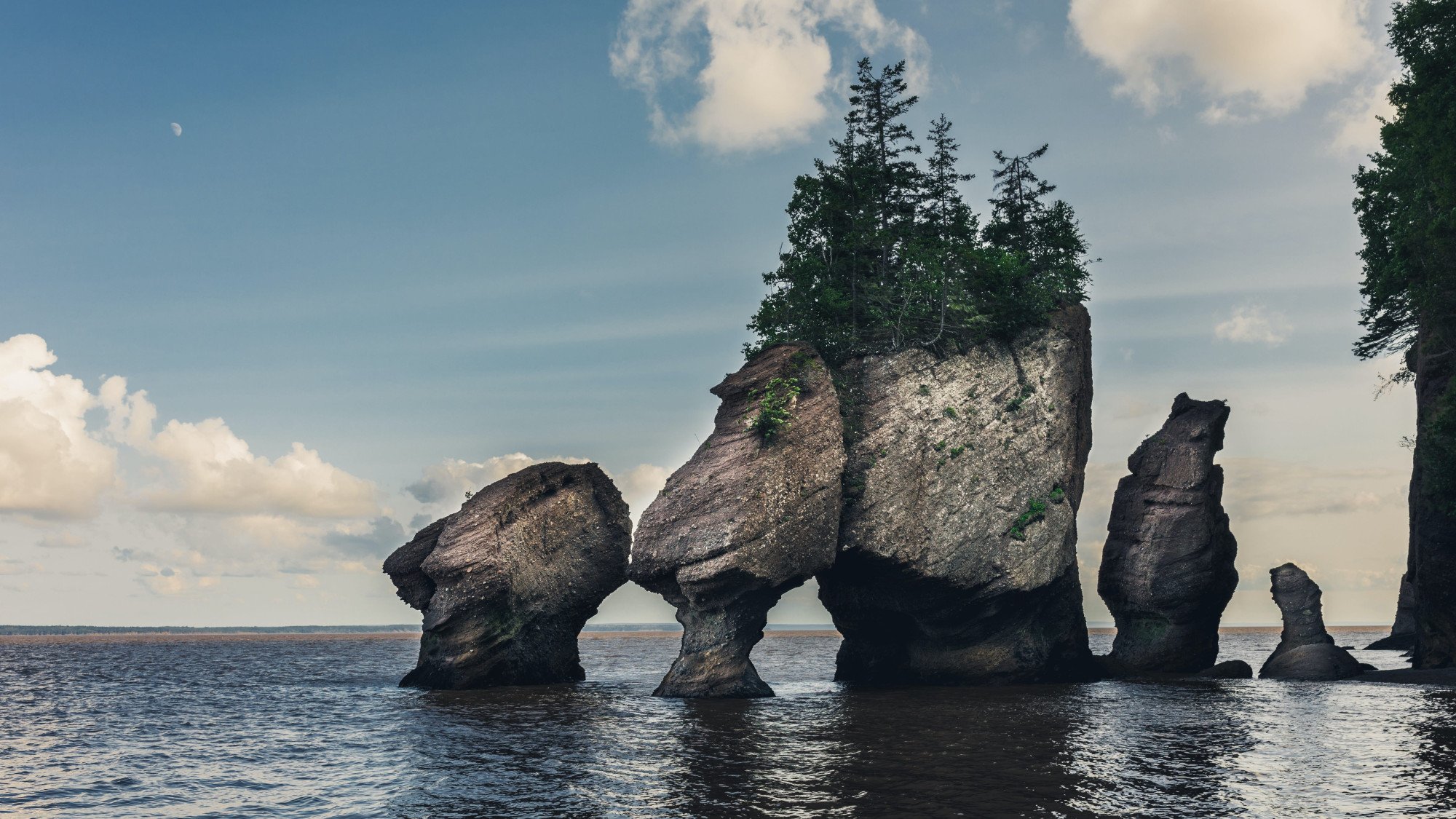 Fundy National Park - Canada - Hopewell Rocks