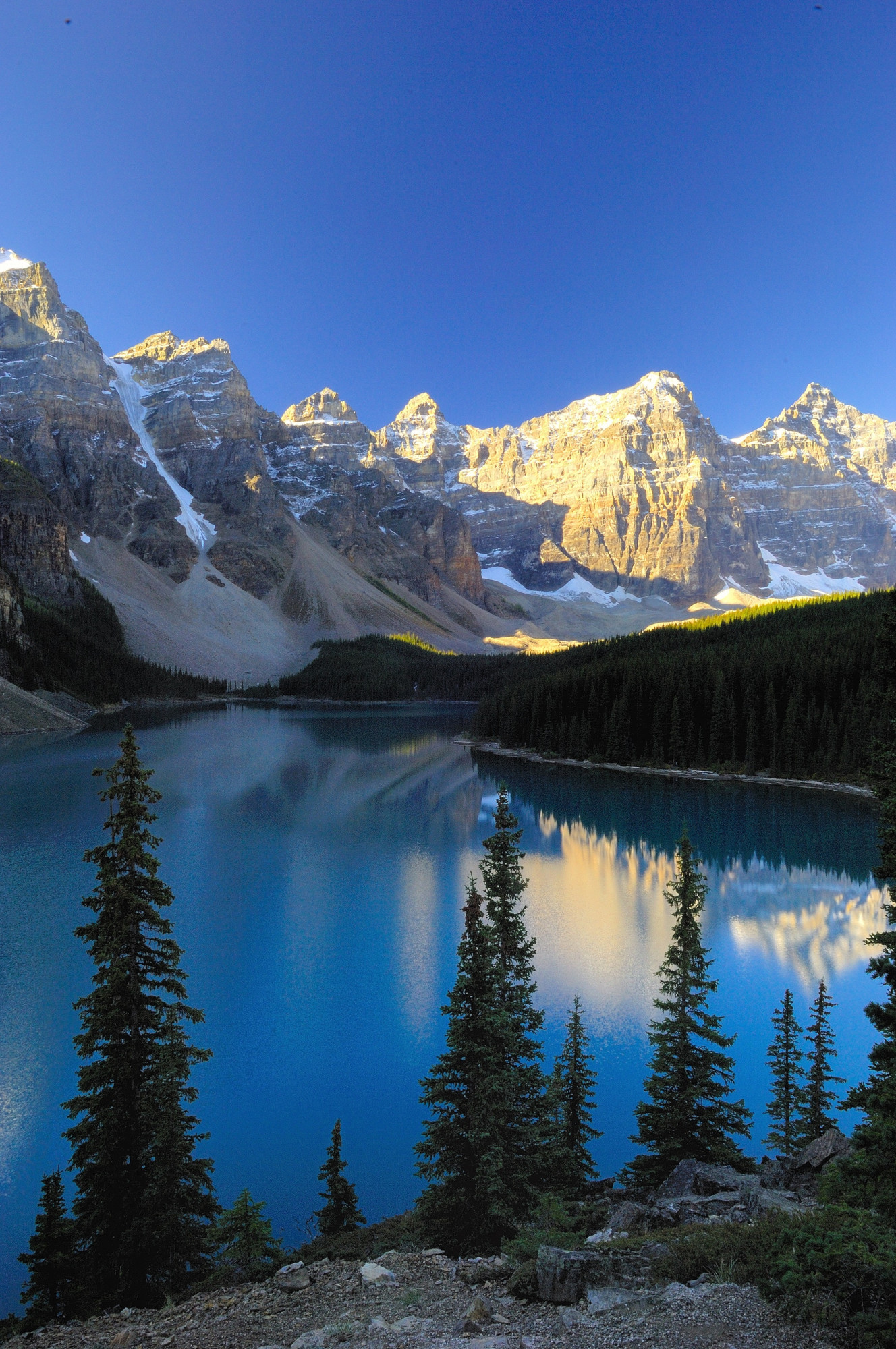 Canada banff berg en bomen