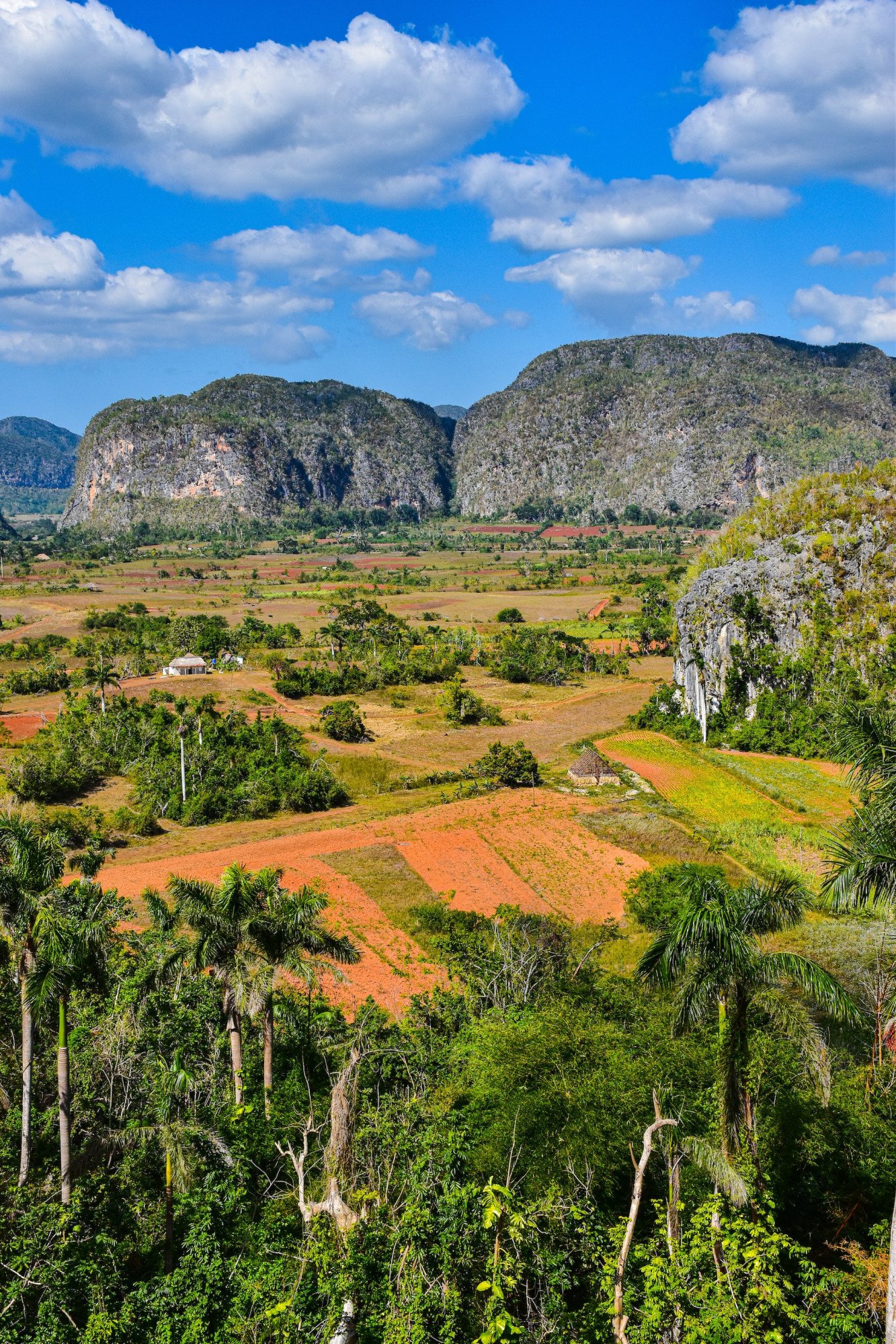 Cuba Vinales bergen natuur landbouw uitzicht