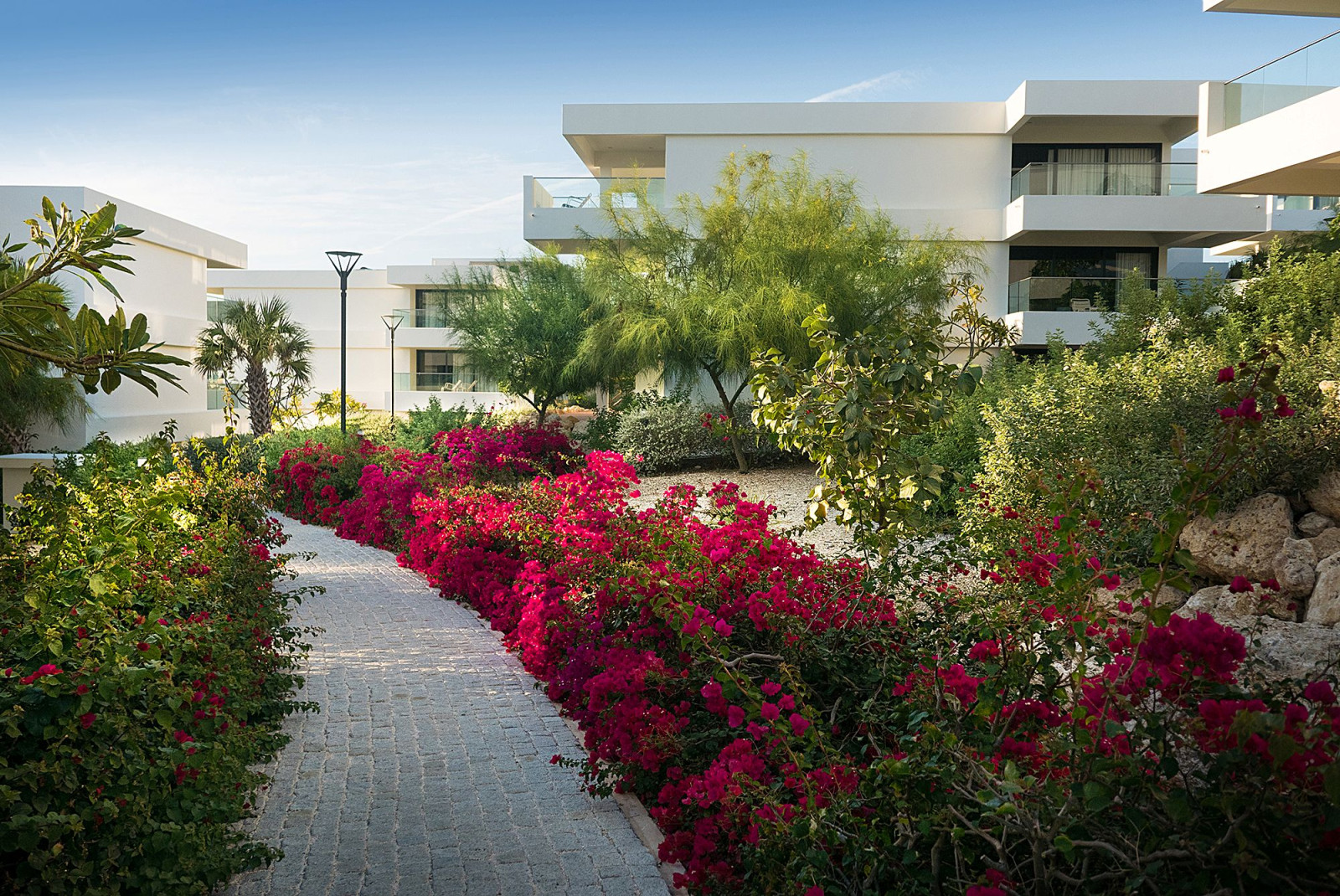 Curacao Papagayo Beach Hotel garden