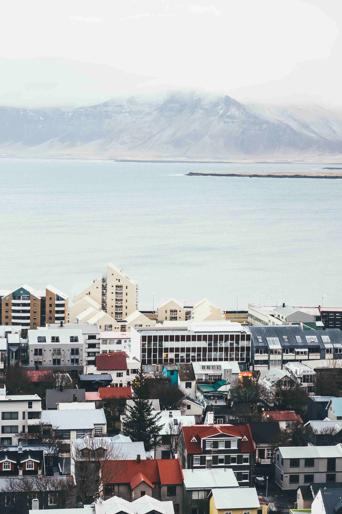 ijsland reykjavik gekleurde huizen zee bergen