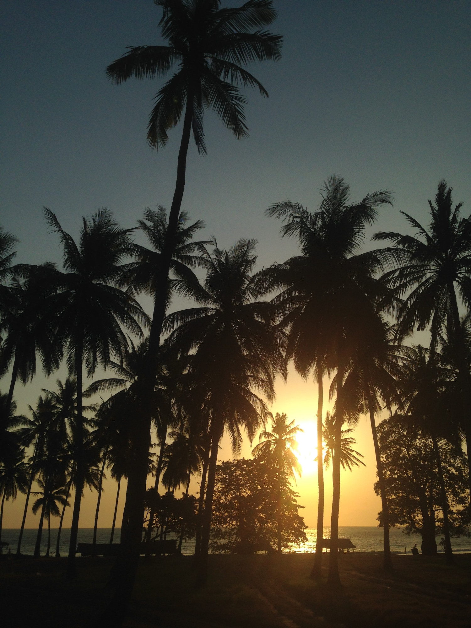 Lombok sunset indonesie palmbomen