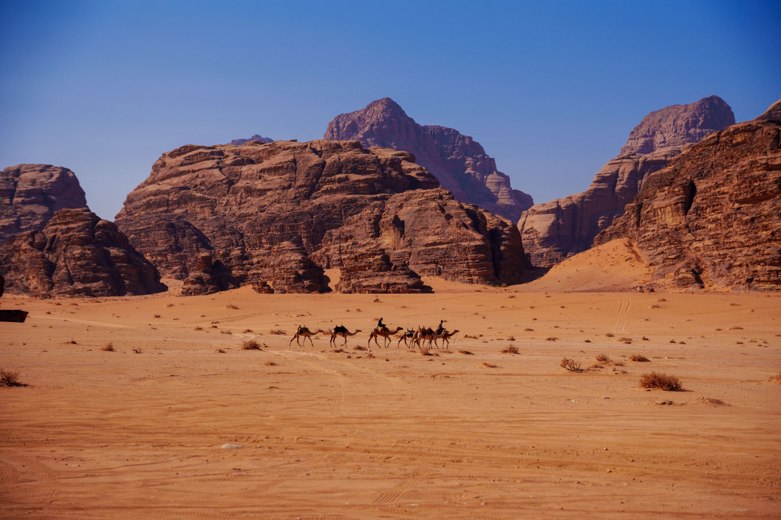 Jordanië Wadi rum woestijn kamelen