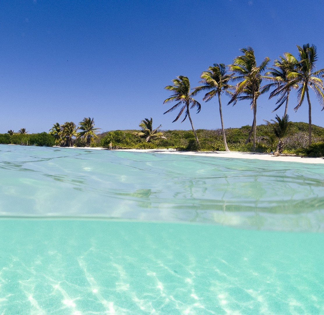 Mexico Cancun palmbomen zee strand