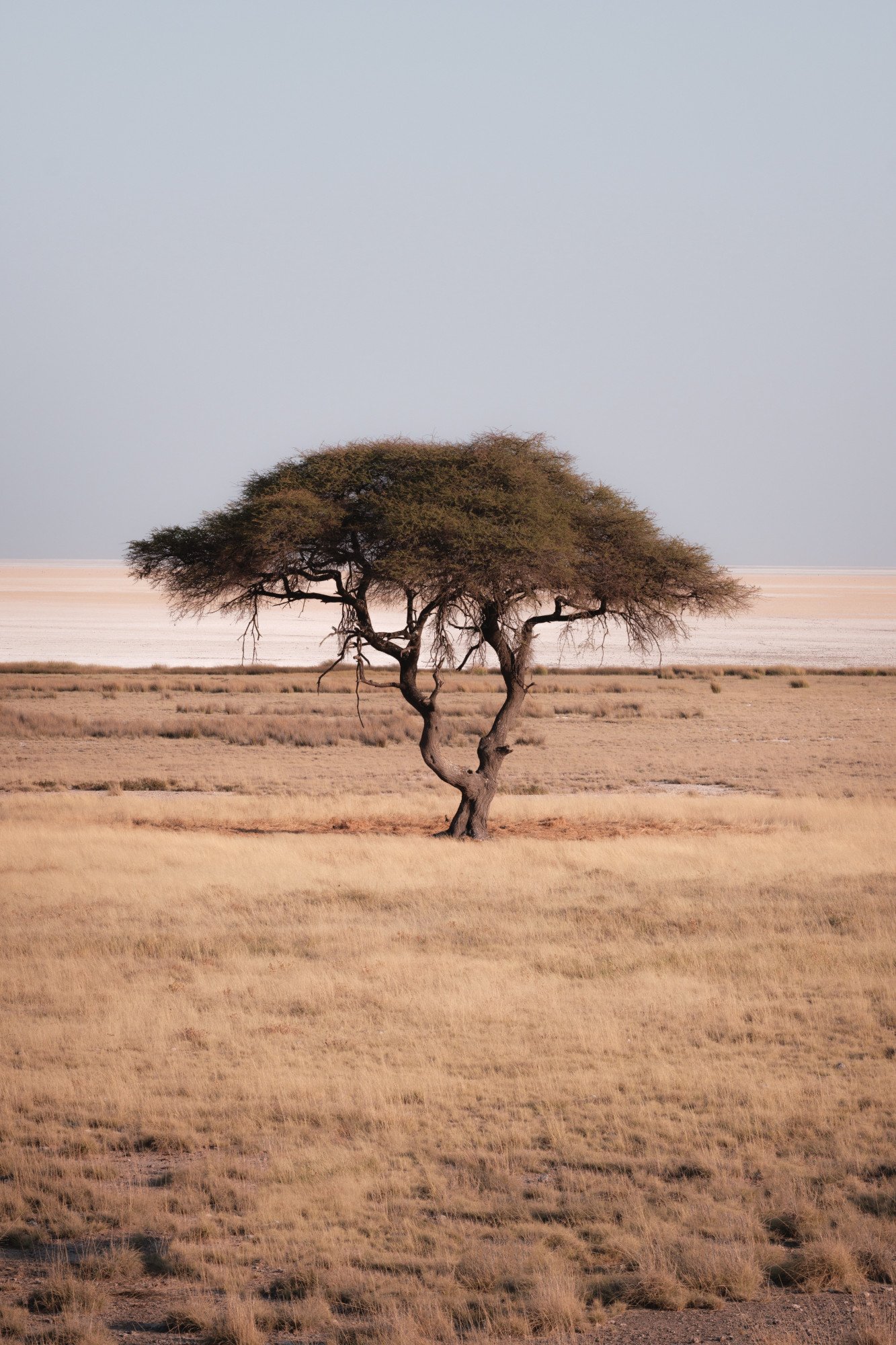 Namibië landschap