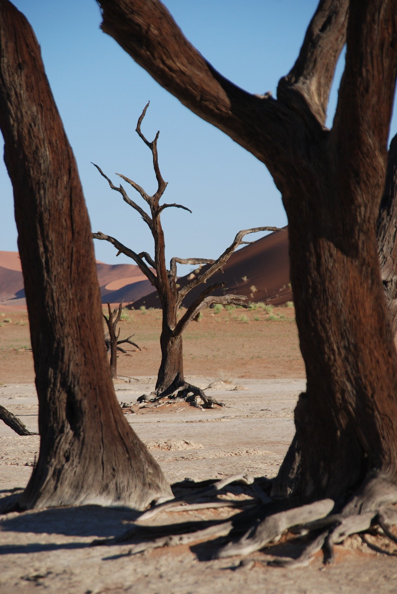 Namibië Namibia sossusvlei