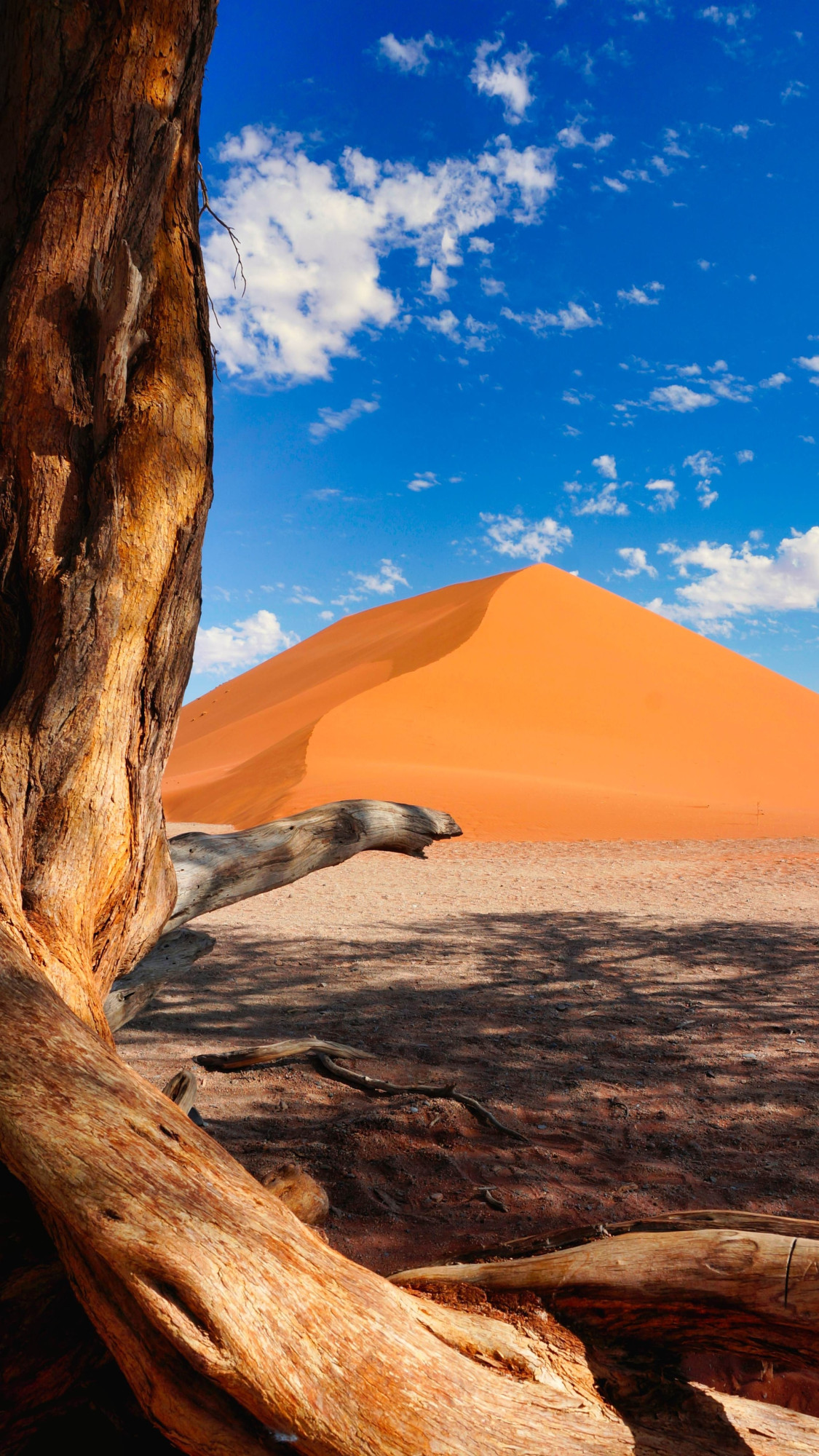 Sossusvlei Namibia woestijn