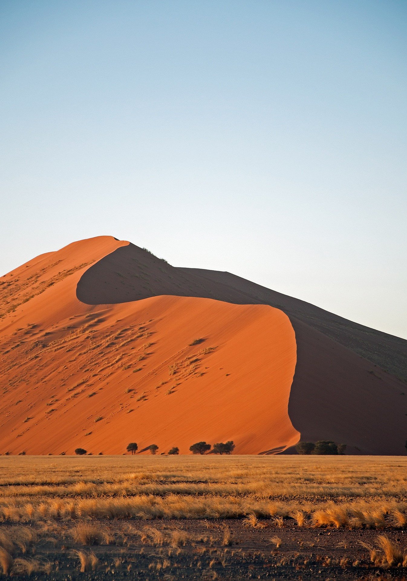 Namibië Woestijn Namib