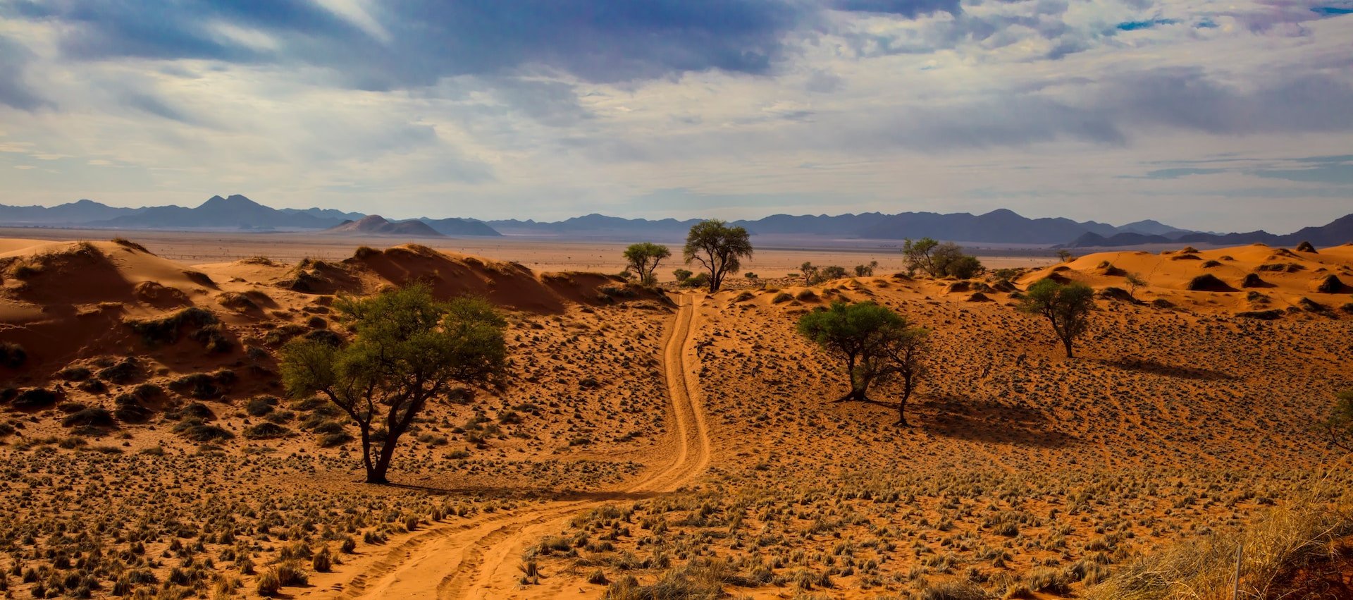 Namibië namibwoestijn