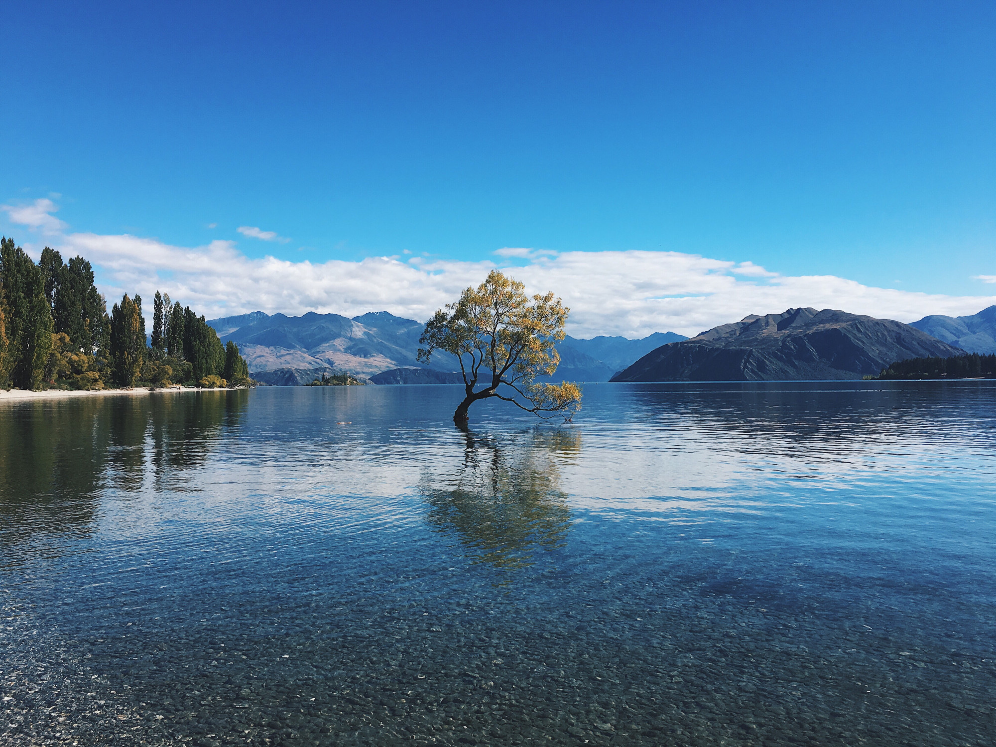 Nieuw-Zeeland Lake Wanaka meer bergen boom
