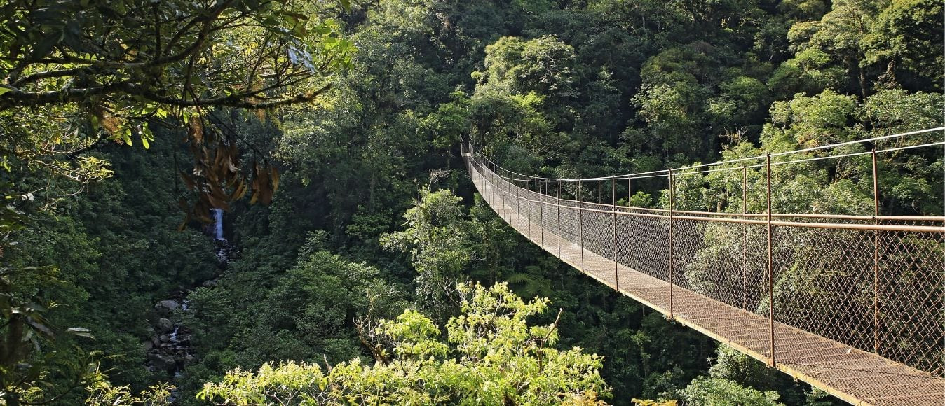 Panama hangbrug canopy tour