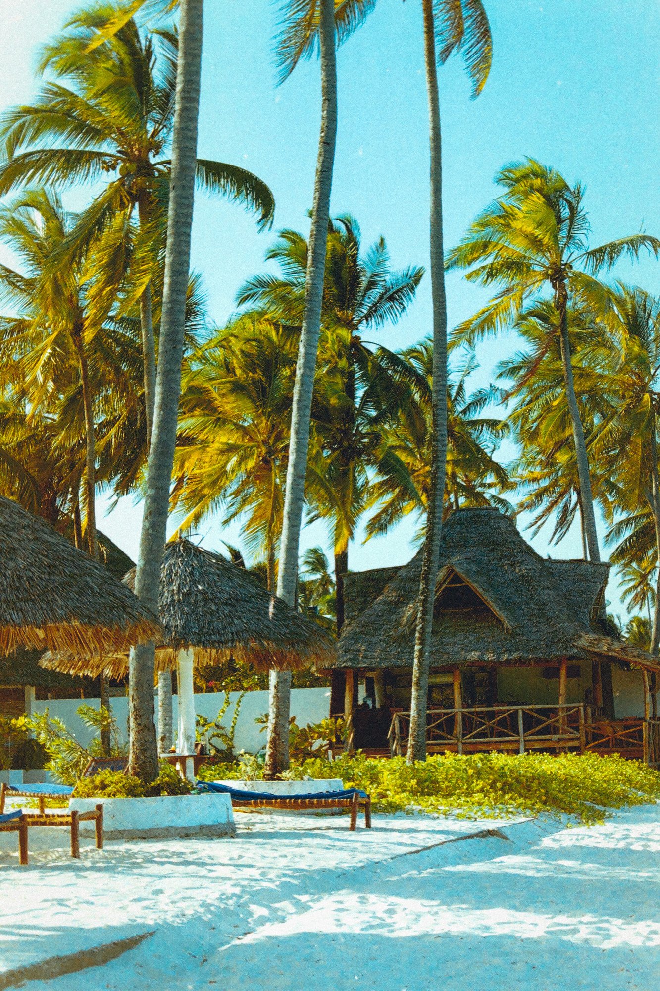 Tropisch resort in Zanzibar