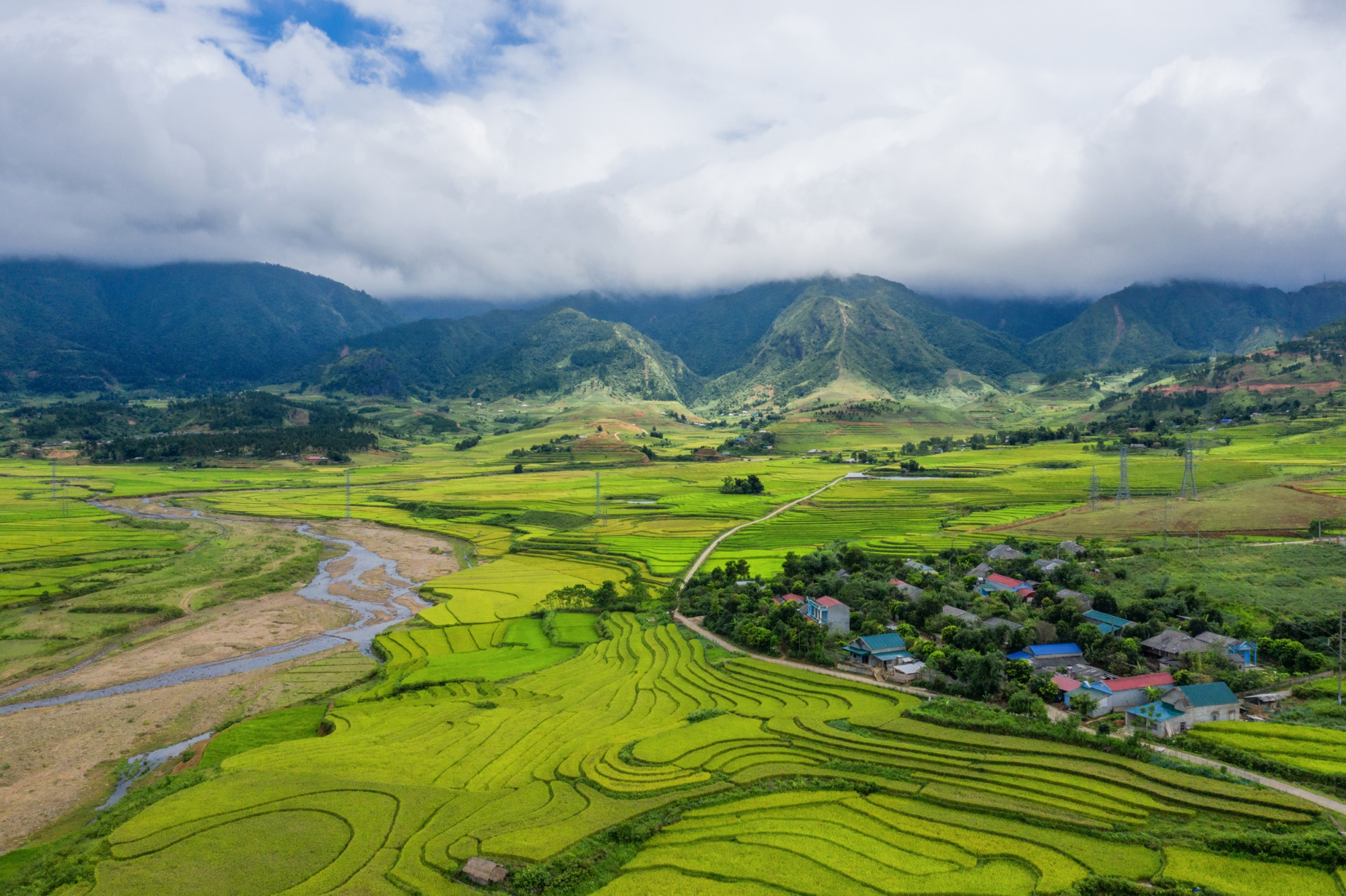 Lichtgroene rijstvelden in Vietnam