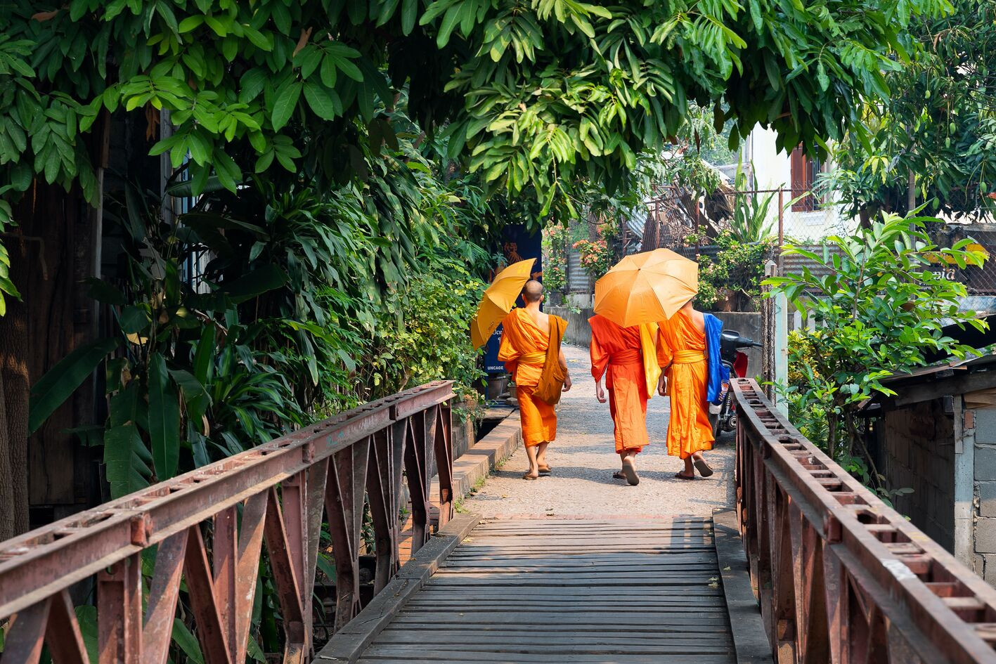 Monikken wandelend in Laos