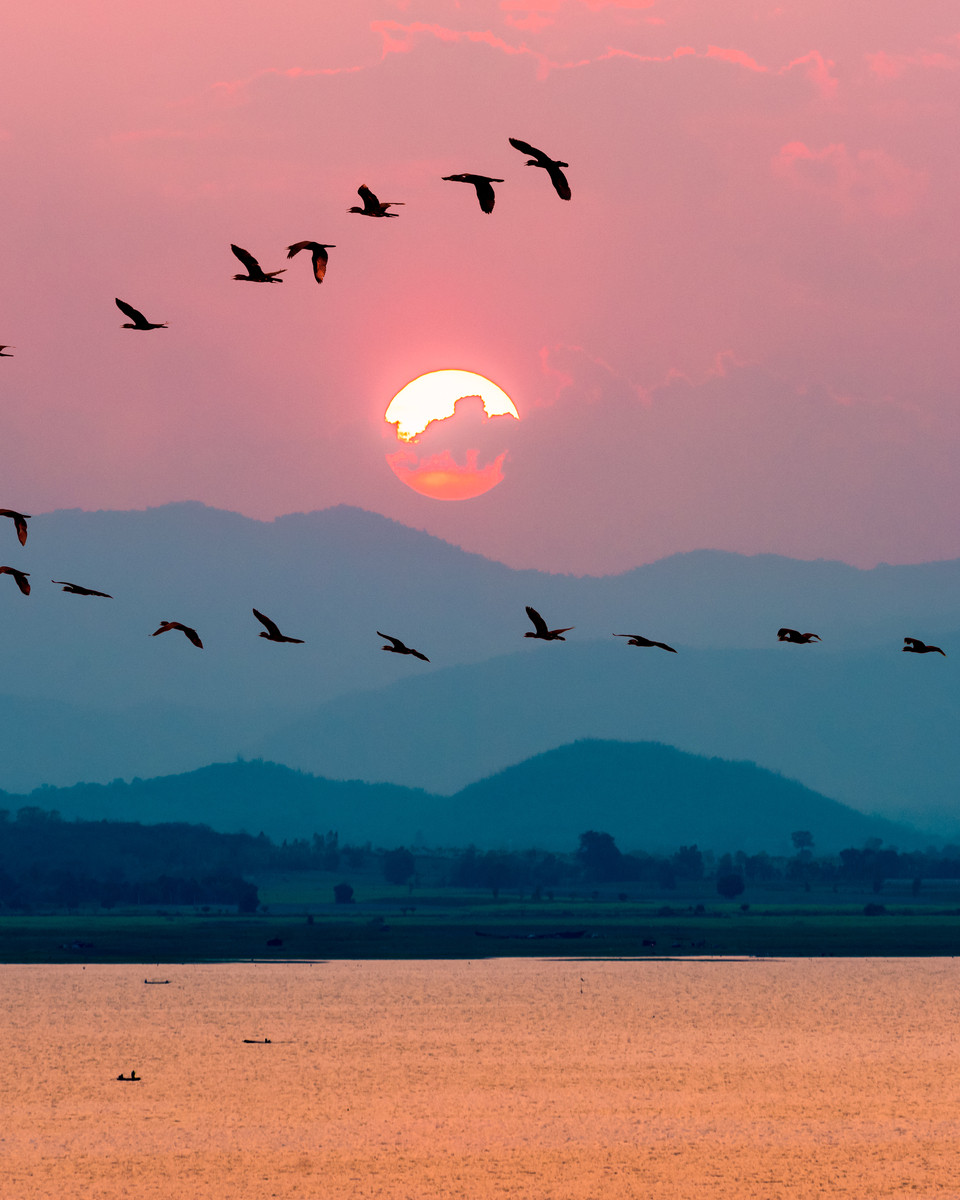 Vogels bij zonsondergang, Vietnam, Laos, Cambodja