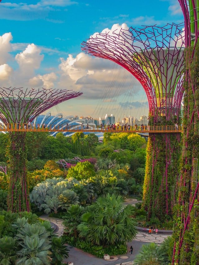 Super Tree Grove in Singapore.